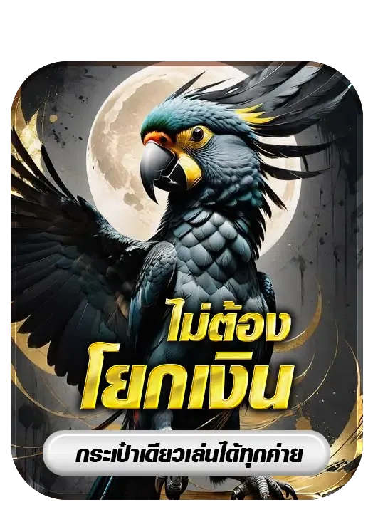 hongthong6888 ไม่ต้องโยกเงิน